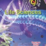 Solutions For All Physical Sciences Grade 12 Learner's Book PDF